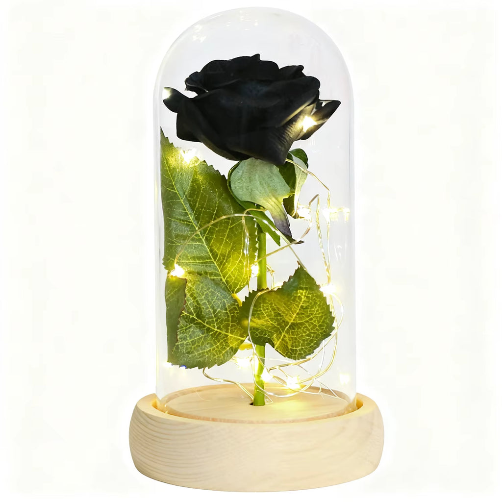 Gifts for Women Beauty and the Beast Preserved Roses in Glass Galaxy Rose LED Light Artificial Flower Birthday Gift for Girls