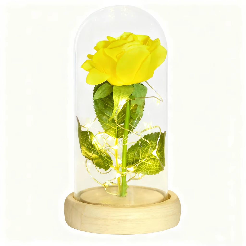 Gifts for Women Beauty and the Beast Preserved Roses in Glass Galaxy Rose LED Light Artificial Flower Birthday Gift for Girls