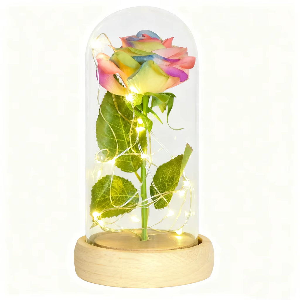 Gifts for Women Beauty and the Beast Preserved Roses in Glass Galaxy Rose LED Light Artificial Flower Birthday Gift for Girls